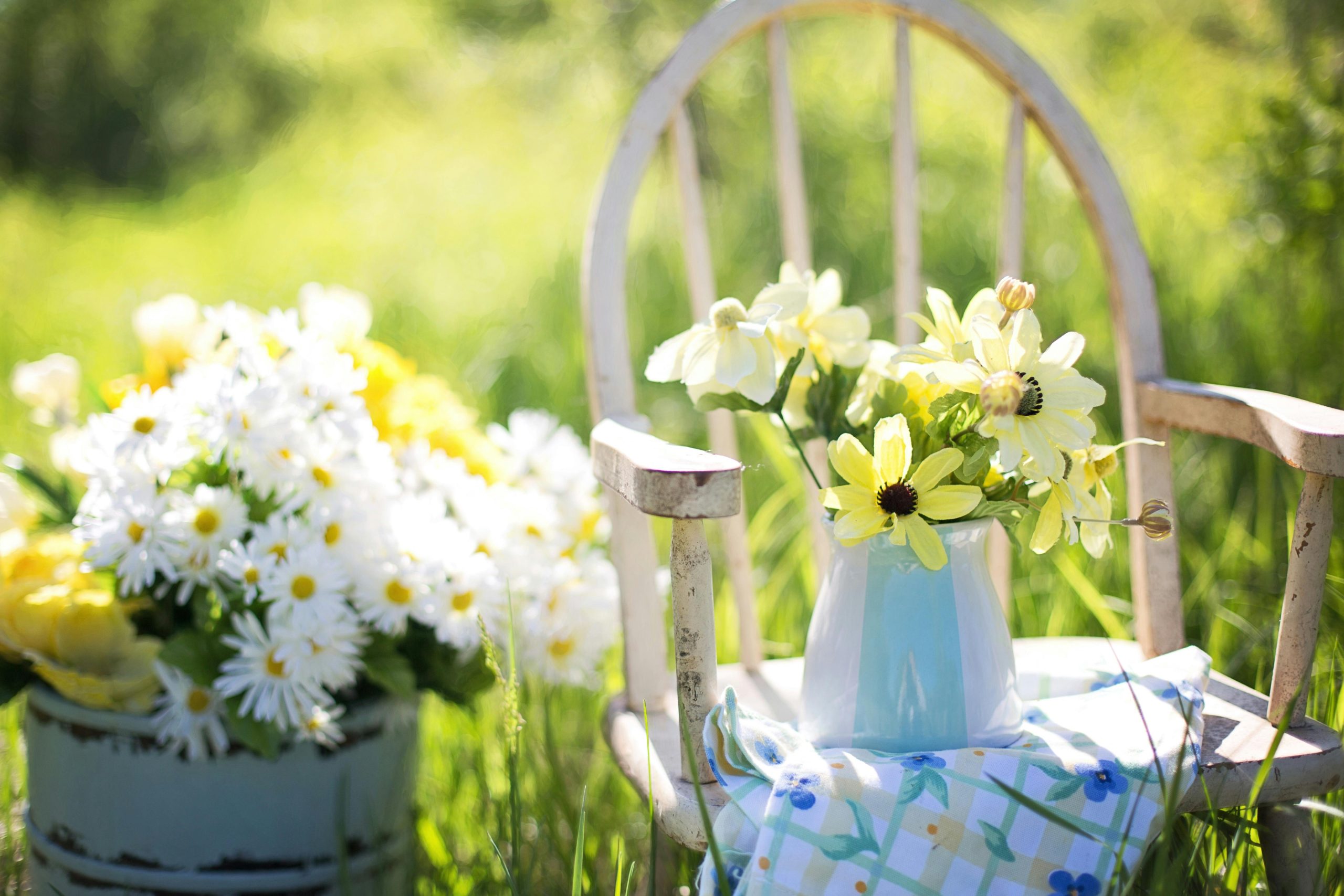 Flowers in Vase on Chair