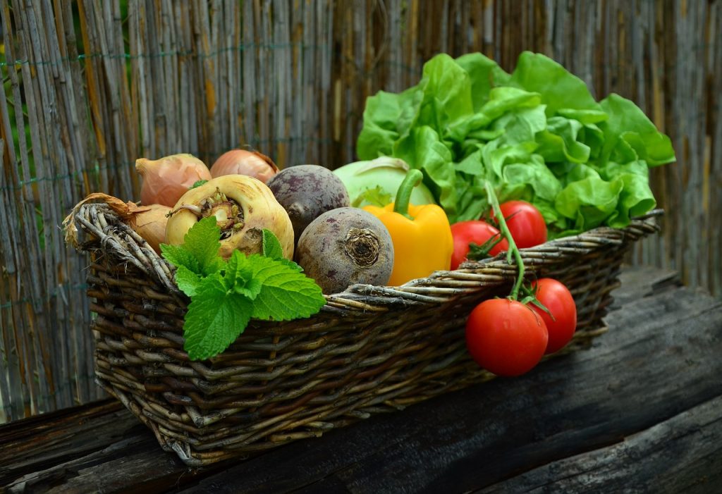 vegetables, basket, vegetable basket, harvest, produce, organic, fresh, fresh produce, fresh vegetables, nature, assorted, food, garden, salad, healthy, vegetables, vegetables, vegetables, food, food, food, food, food